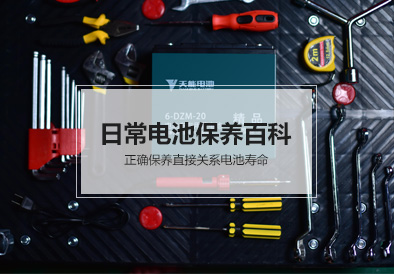 菠菜担保网电池