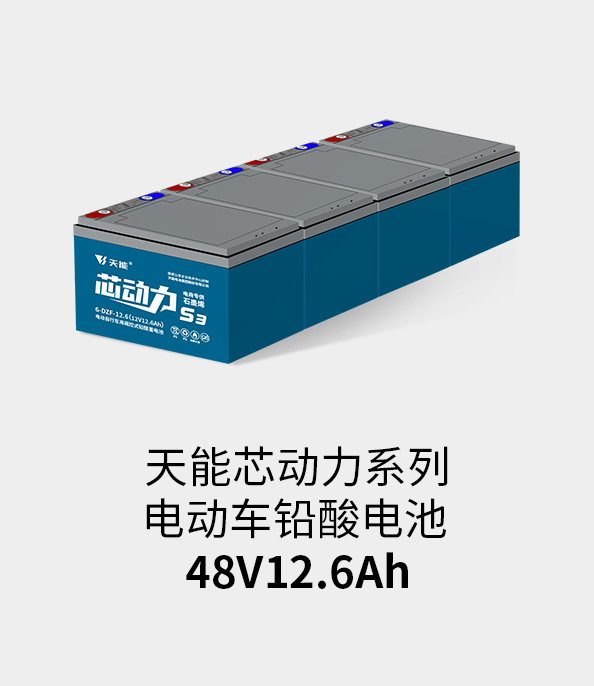 菠菜担保网电池48v12ah
