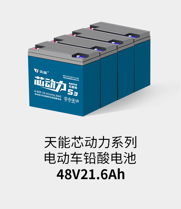 菠菜担保网电池48v20ah