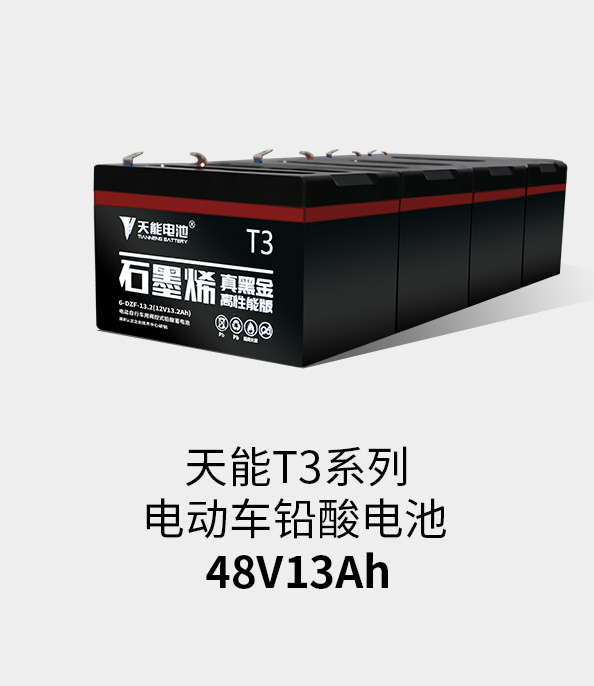 菠菜担保网T3系列48v13ah