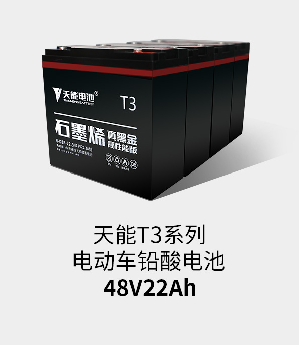 菠菜担保网T3系列48v22ah