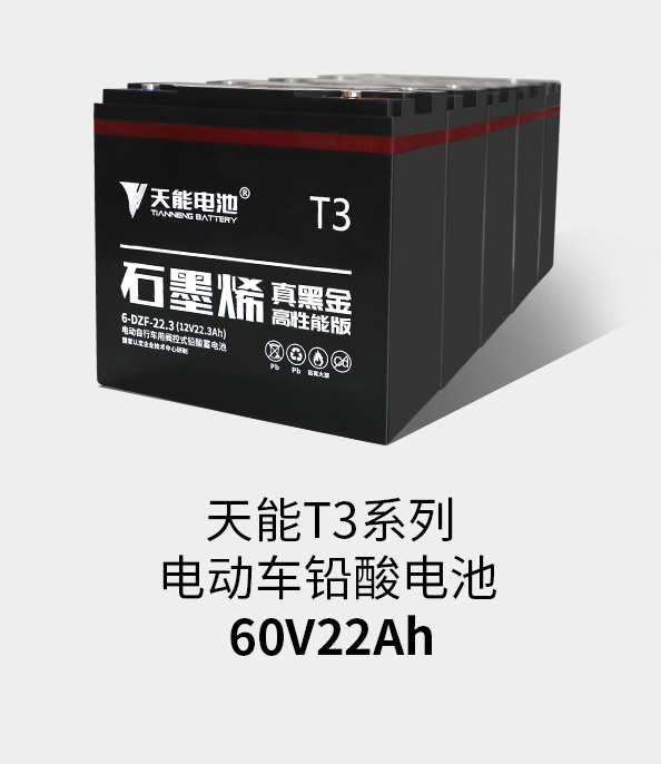 菠菜担保网T3系列60v22ah