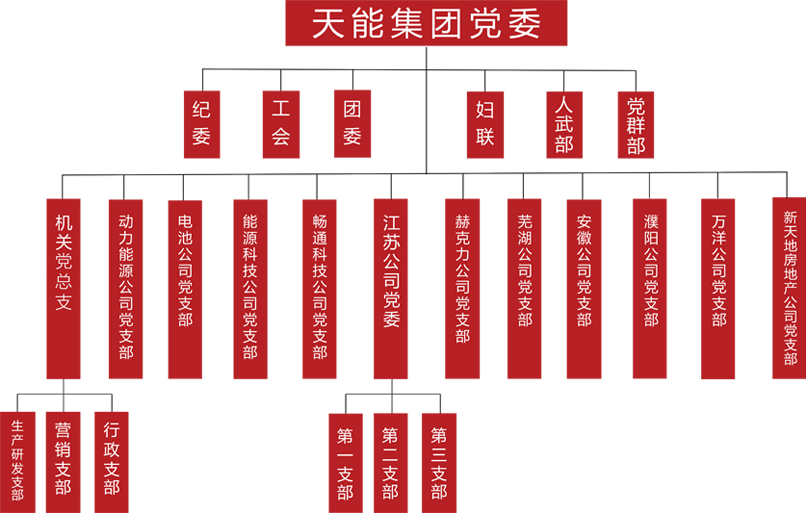 菠菜担保网建团党委组织架构